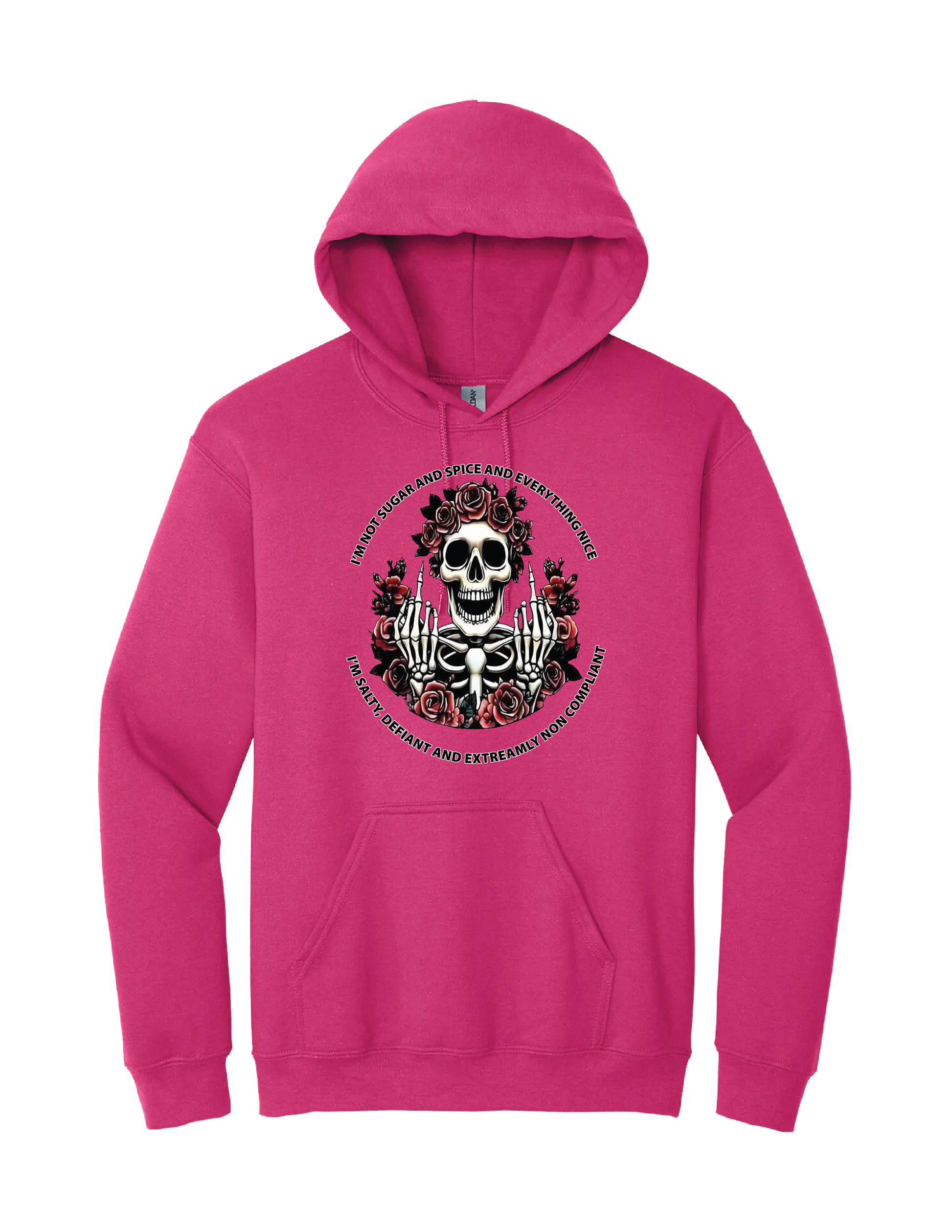 Not Sugar and Spice Hoodie