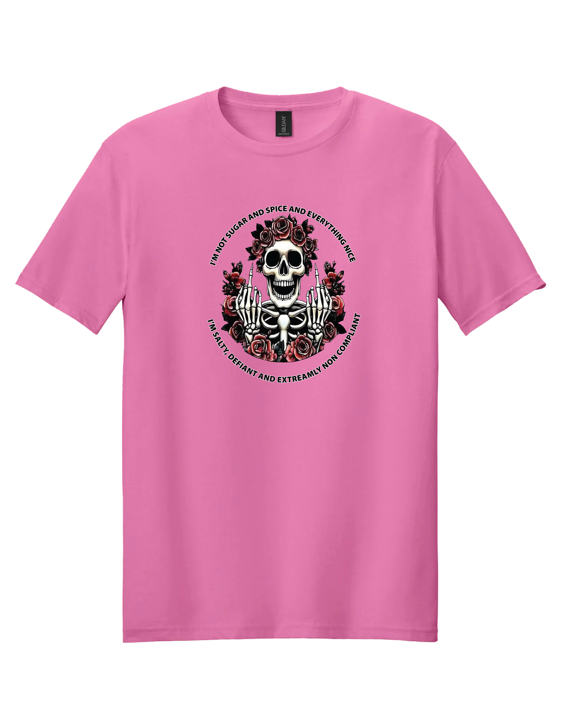 Not Sugar and Spice T Shirt